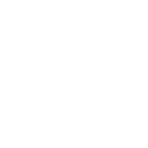 Language Button Icon